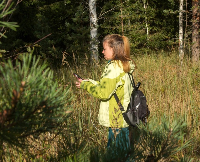 hundpejl i skogen